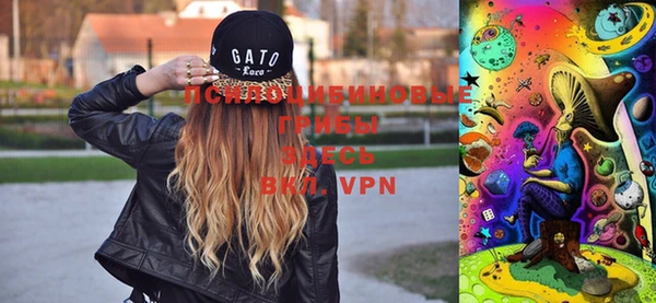 меф Сясьстрой