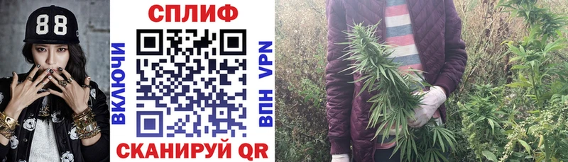 Марихуана план  Купить где  Узловая 